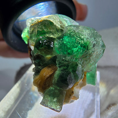 Cube de fluorite fantôme, spécimen de muscovite, Erongo, Namibie, 30 x 23 x 21 mm 