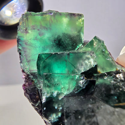 Rare spécimen de cube de fluorite fantôme, vert-violet, Okorusu, Namibie, 49 x 30 x 20 mm 