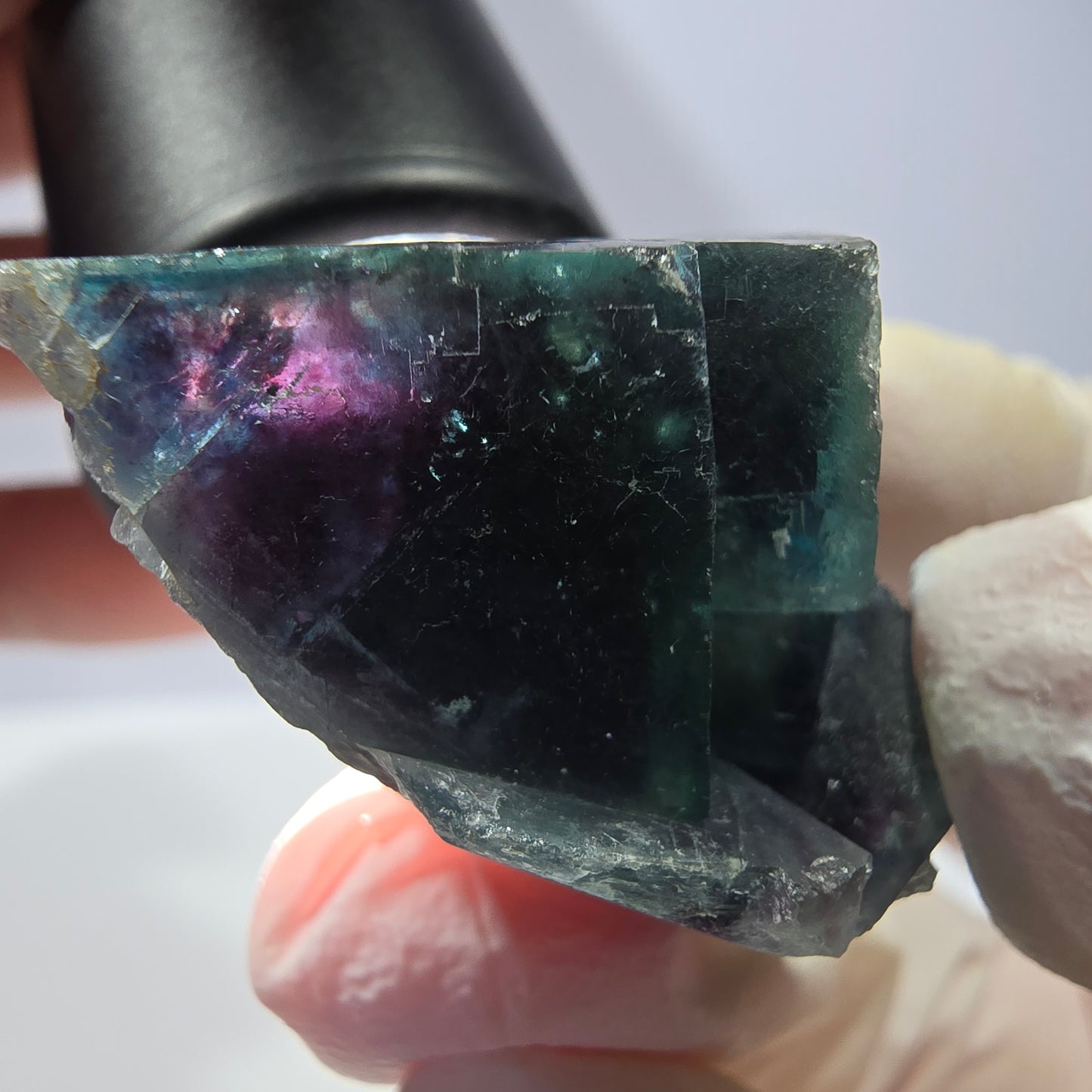 Rare spécimen de cube de fluorite fantôme, poche papillon, Okorusu, Namibie, 48 x 33 x 22 mm 