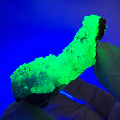 Spécimen rare d'opale hyalite et de tourmaline Schorl, Erongo, Namibie, 62 x 43 x 21 mm 