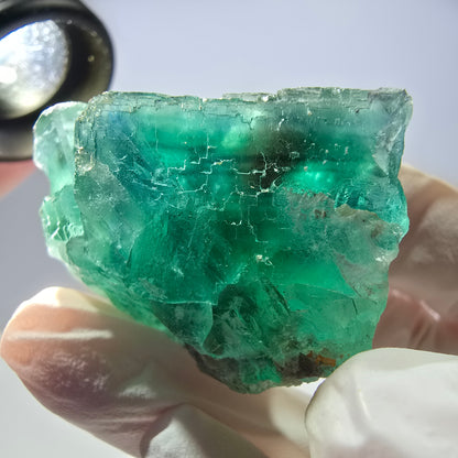 Spécimen de cube de fluorite fantôme transparente, vert parqueté, Okorusu, Namibie, 44 x 32 x 22 mm 