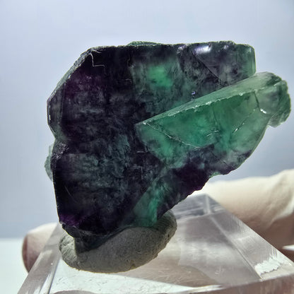 Spécimen rare de cube de fluorite, vert violet, Okorusu, Namibie, 29 x 28 x 19 mm 