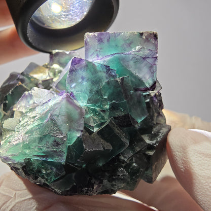 Spécimen de cube de fluorite fantôme, parqueté vert violet Okorusu, Namibie 59*46*39 mm 