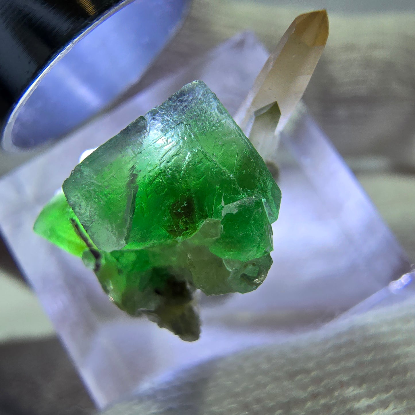 Cube de fluorite fantôme zonal, quartz fumé, spécimen de muscovite, Erongo, Namibie, 19 x 15 x 12 mm 