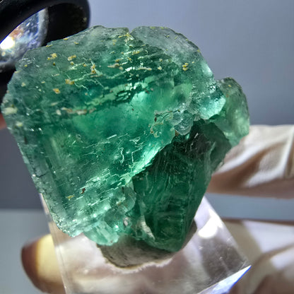 Spécimen de cube de fluorite fantôme, parquet vert Okorusu, Namibie 36 x 36 x 18 mm 