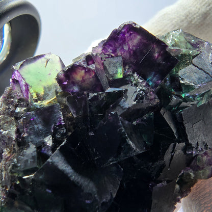 Rare Phantom Fluorite Cube Specimen zonal green purple Okorusu, Namibia 59*42*18mm 