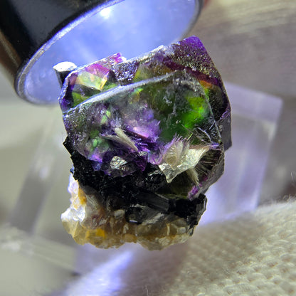 Fluorite fantôme colorée, Spécimen de tourmaline scholle muscovite, Erongo, Namibie, 19 x 17 x 14 mm 