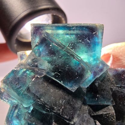 Rare spécimen de cube de fluorite fantôme, poche papillon, Okorusu, Namibie, 51 x 39 x 24 mm
