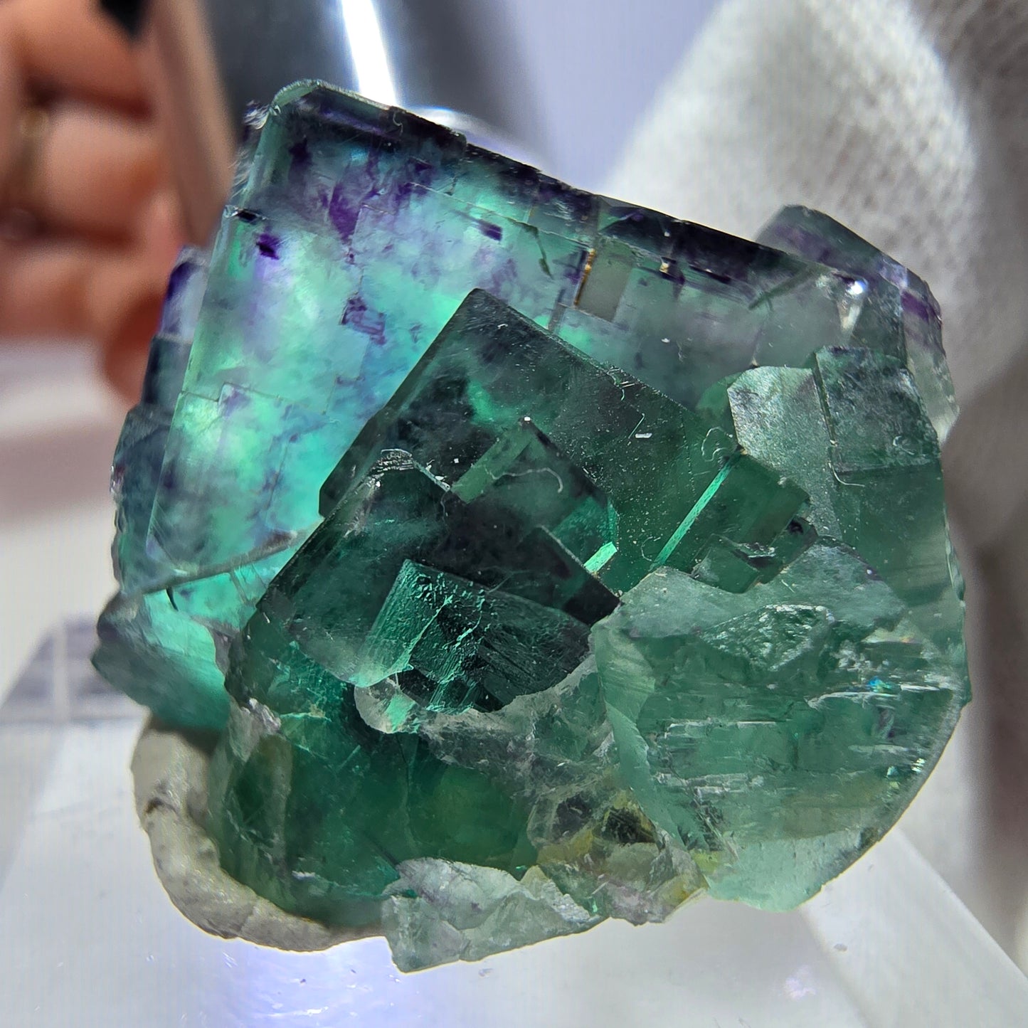 Spécimen rare de cube de fluorite fantôme, vert zonal et violet, Okorusu, Namibie, 30 x 26 x 18 mm 
