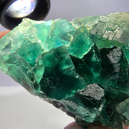 Rare spécimen de cube de fluorite fantôme, parqueté vert Okorusu, Namibie, 61 x 48 x 24 mm 