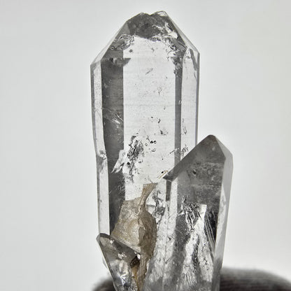 Sceptre de scène en quartz fumé fantôme lémurien, poche Saint-Valentin, Namibie, 55 x 18 x 15 mm 
