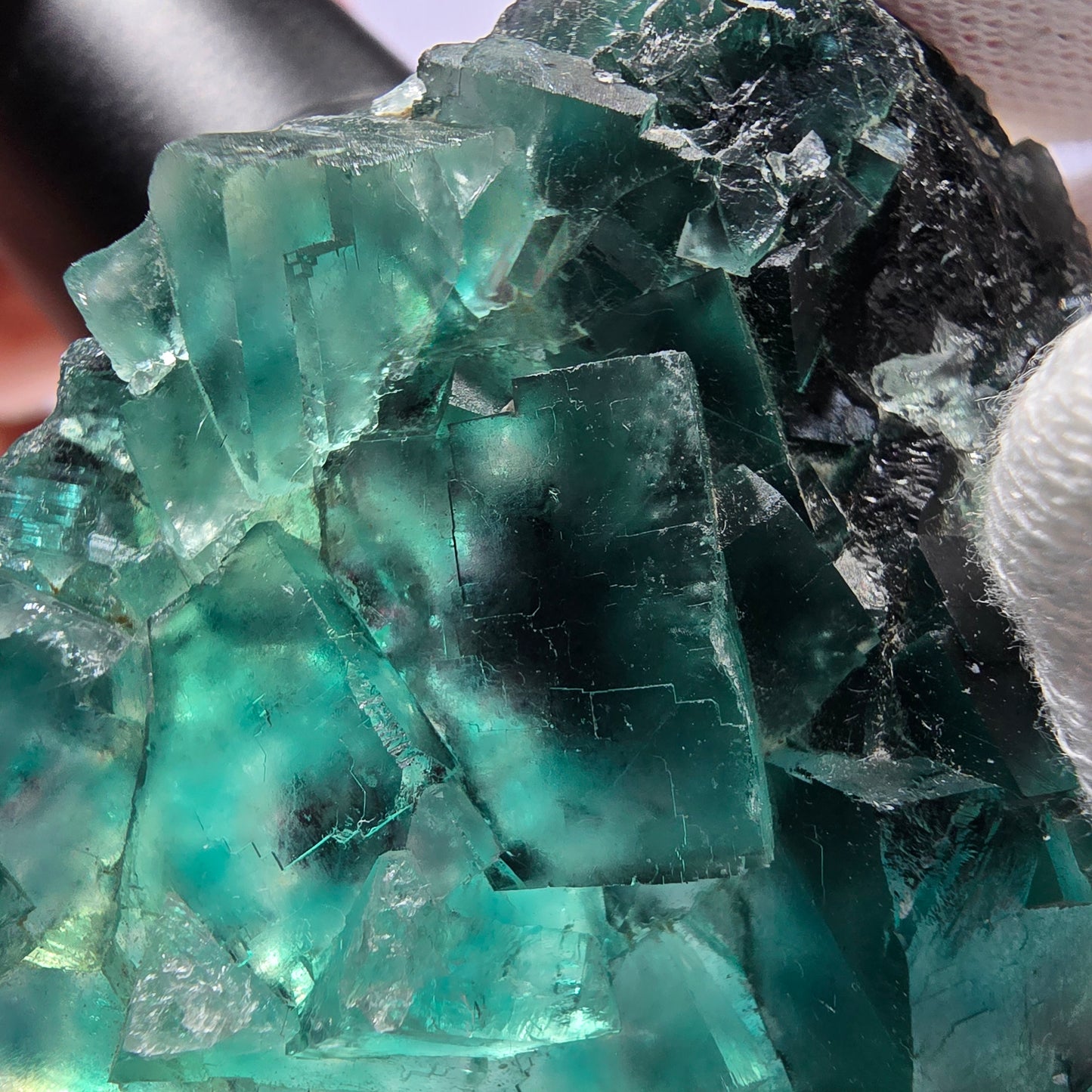Seltene Phantom Fluorit Würfel Stufe parkettiert grün Okorusu Namibia 65*51*16mm
