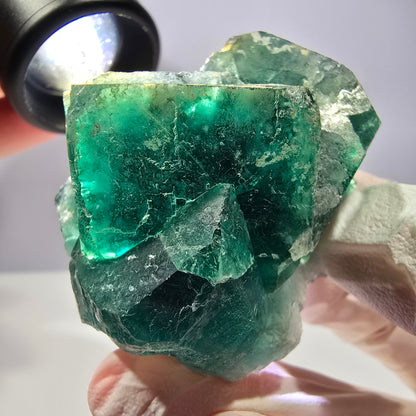 Spécimen de cube de fluorite fantôme, parqueté vert violet Okorusu, Namibie 51*46*28 mm 
