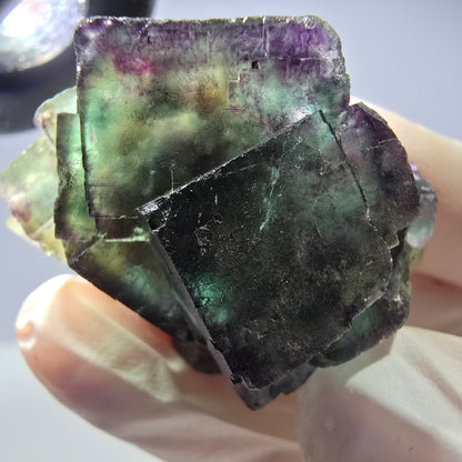 Spécimen de cube de fluorite fantôme parqueté vert violet Okorusu, Namibie 40*36*26 mm 