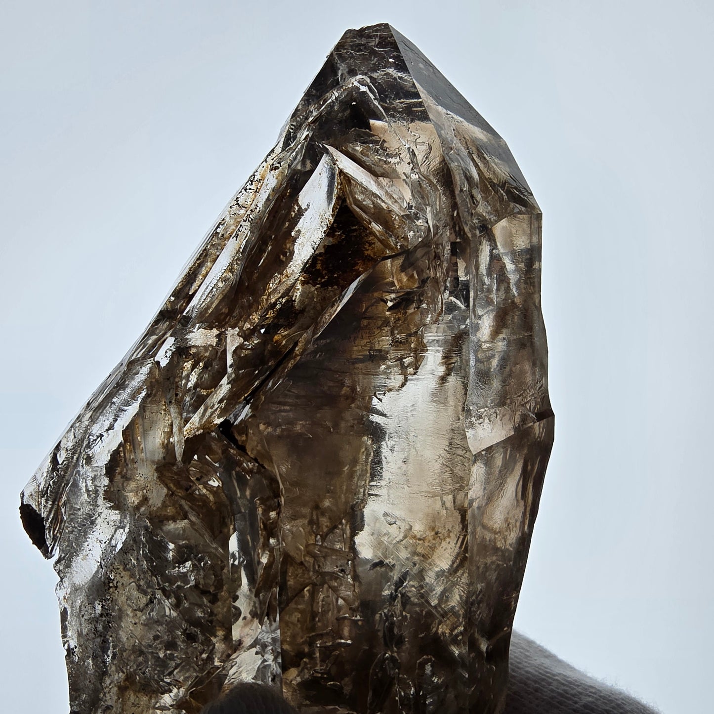 Enhydro Skeleton Smoky Quartz DT Scepter, 1x Bubble Valentine Pocket, Namibia 126*59*39mm 