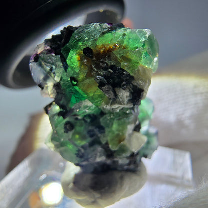 Cube de fluorite fantôme zonal, tourmaline muscovite Schorl Erongo Namibie 24 x 16 x 12 mm 