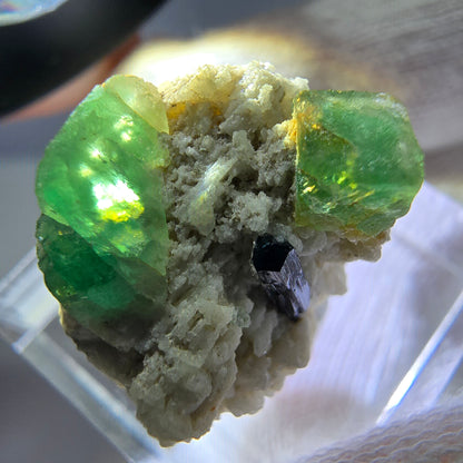 Spécimen de tourmaline Schorl et d'orthose cubique de fluorite fantôme, Erongo, Namibie, 20 x 17 x 16 mm 