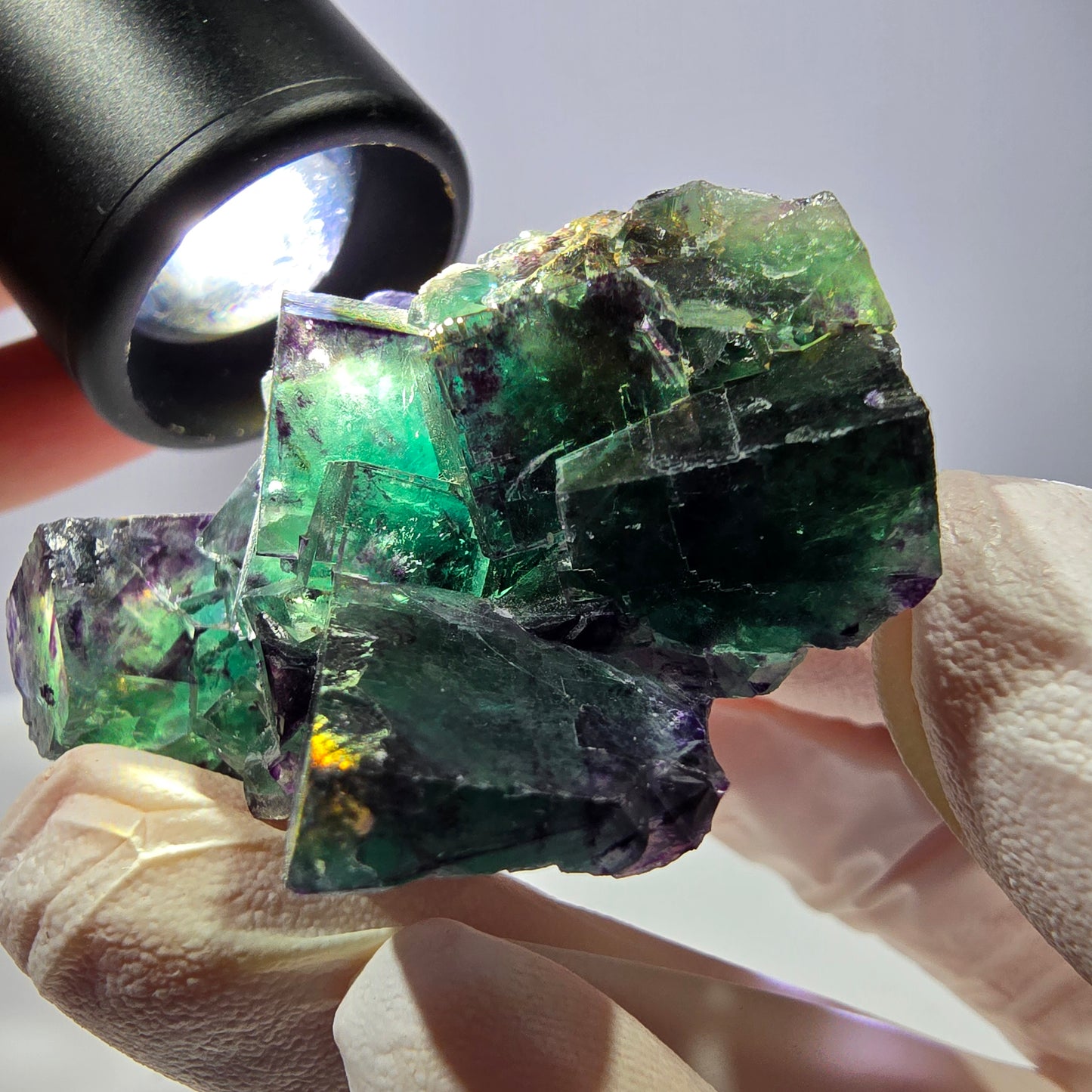 Spécimen de cube de fluorite fantôme, parqueté vert violet Okorusu, Namibie 51*39*24 mm 