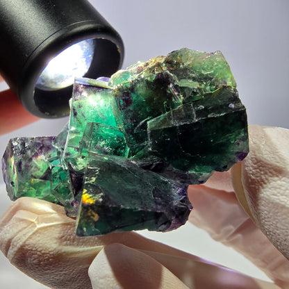 Spécimen de cube de fluorite fantôme, parqueté vert violet Okorusu, Namibie 51*39*24 mm 
