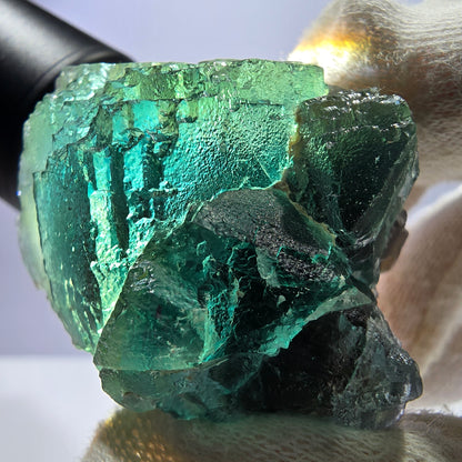 Rare spécimen de cube de fluorite fantôme, parqueté vert Okorusu, Namibie, 48 x 37 x 37 mm 
