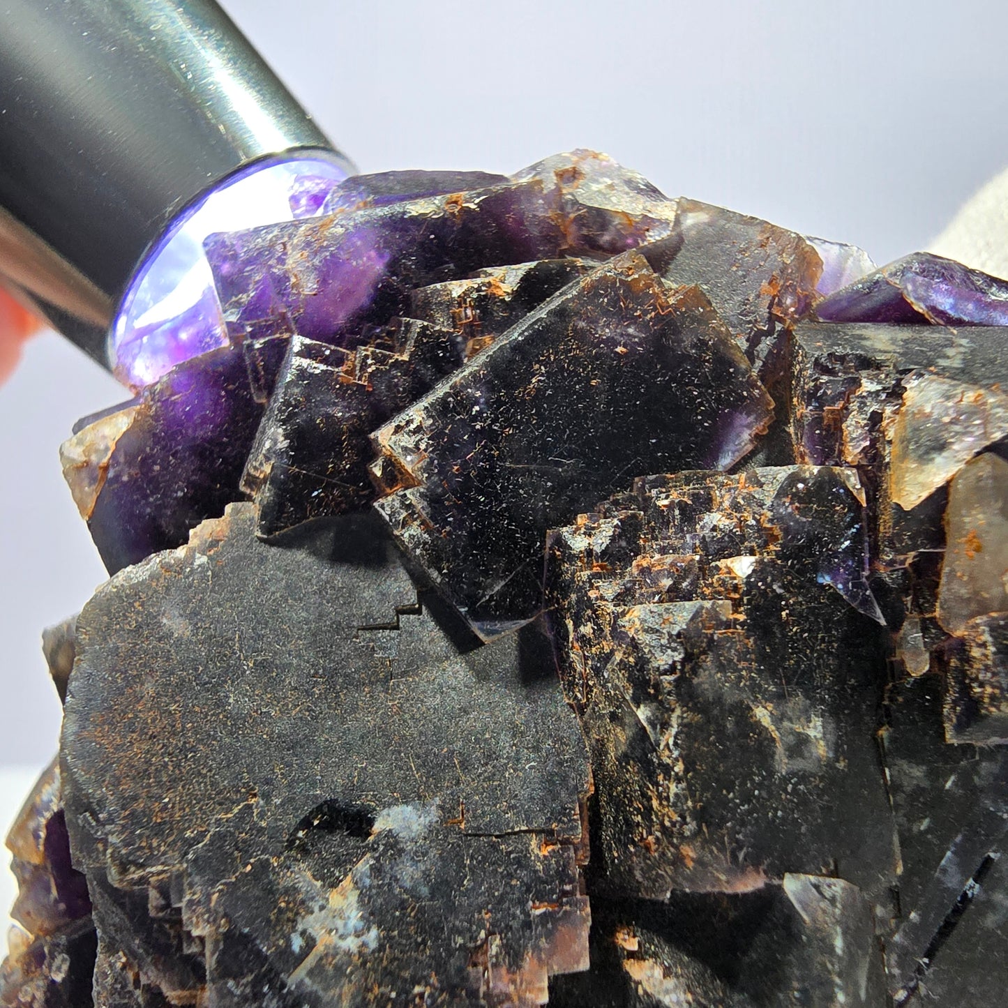 Spécimen de cube de fluorite fantôme, violet, rouge et bleu, Okorusu, Namibie, 91 x 58 x 22 mm 