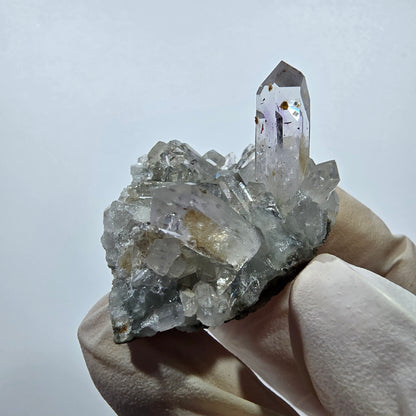 Quartz Harlequin rare, spécimen de chlorite, mine Streep, Goboboseb, Namibie, 46 x 32 x 28 mm 