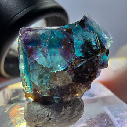 Spécimen de cube de fluorite fantôme, parqueté vert violet Okorusu, Namibie 20 x 15 x 12 mm 