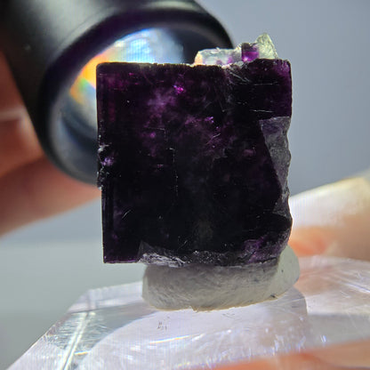 Rare cube de fluorite fantôme, vert violet, Okorusu, Namibie, 19 x 18 x 14 mm 