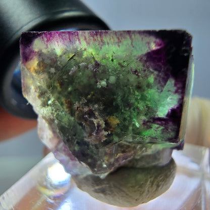 Phantom Fluorit Würfel parkettiert, zonal, grün lila Okorusu, Namibia 21*20*18mm
