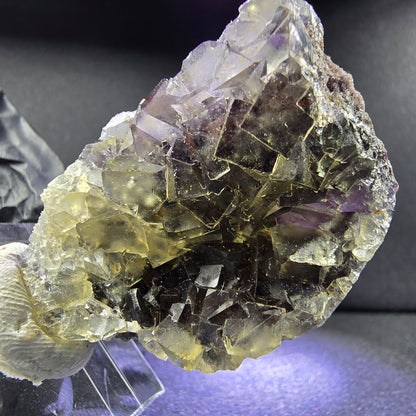 Rare Zonare Fluorite XX cube specimen yellow purple 43*28*15mm from Okorusu, Namibia