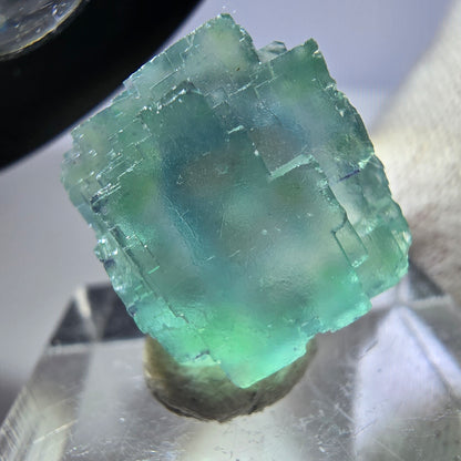 Seltener Phantom Fluorit Würfel, grün parkettiert Okorusu, Namibia 20*18*12mm