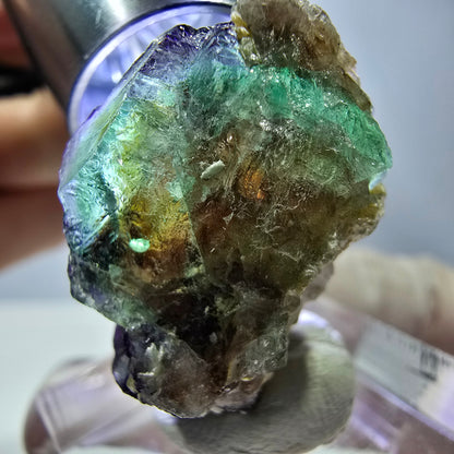 Cube hexagonal de fluorite fantôme, muscovite, tourmaline Schörl, Erongo, Namibie 27 x 20 x 18 mm 