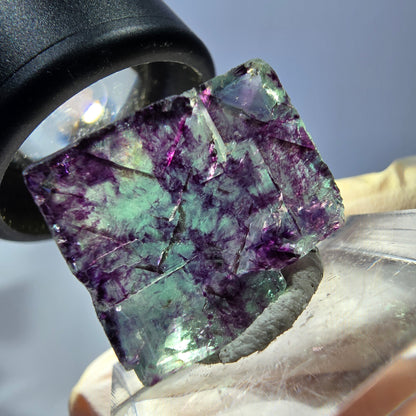 Phantom Fluorit Würfel parkettiert, grün lila Okorusu, Namibia 19*17*9mm