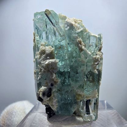 Seltene Aquamarin XX mit Orthoklas, Schörl Turmalin Erongo, Namibia 29*20*17mm