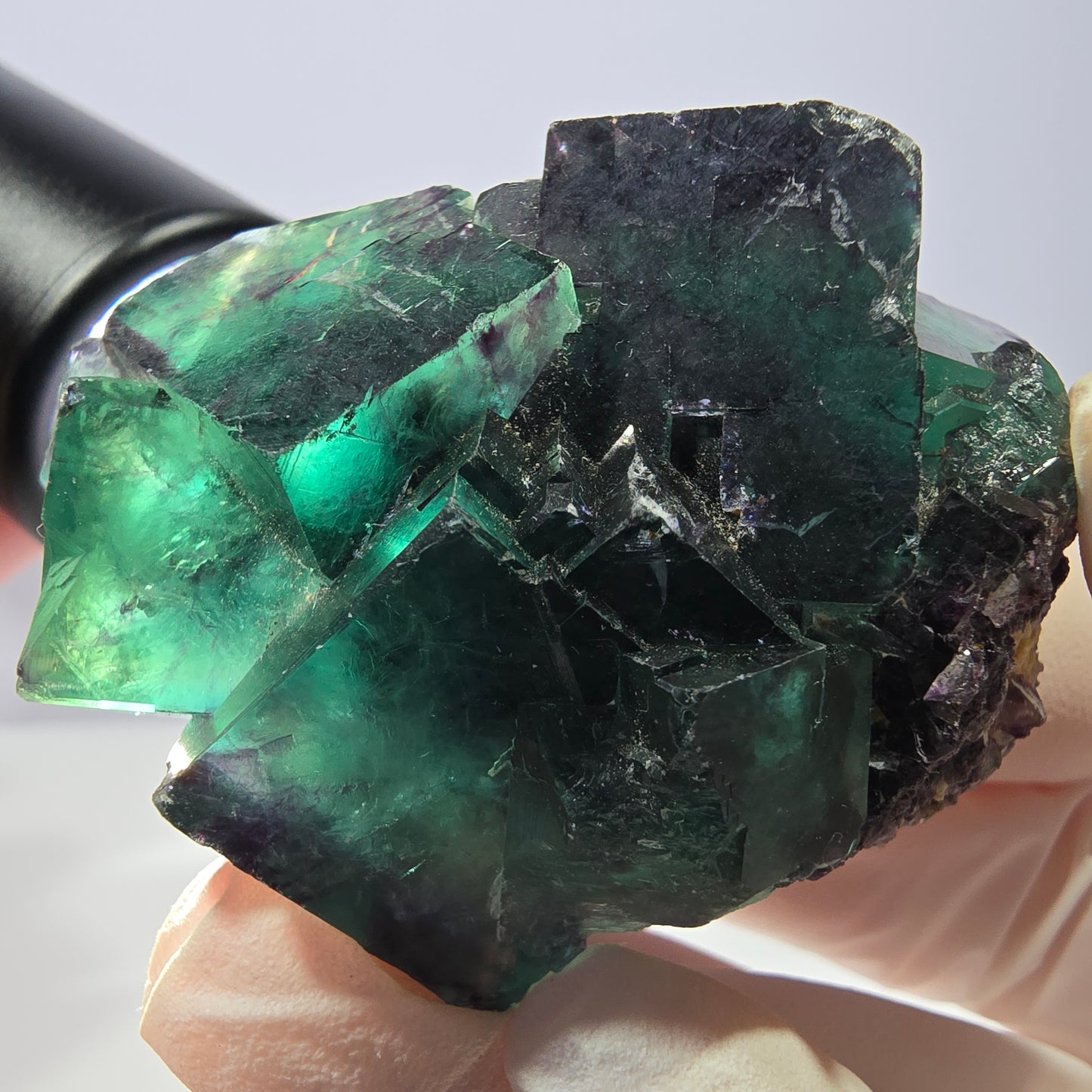Spécimen de cube de fluorite fantôme, parqueté vert violet Okorusu, Namibie 54*40*27 mm 