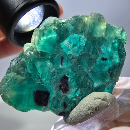 Phantom Fluorit Würfel Stufe, grün parkettiert Okorusu, Namibia 41*36*13mm