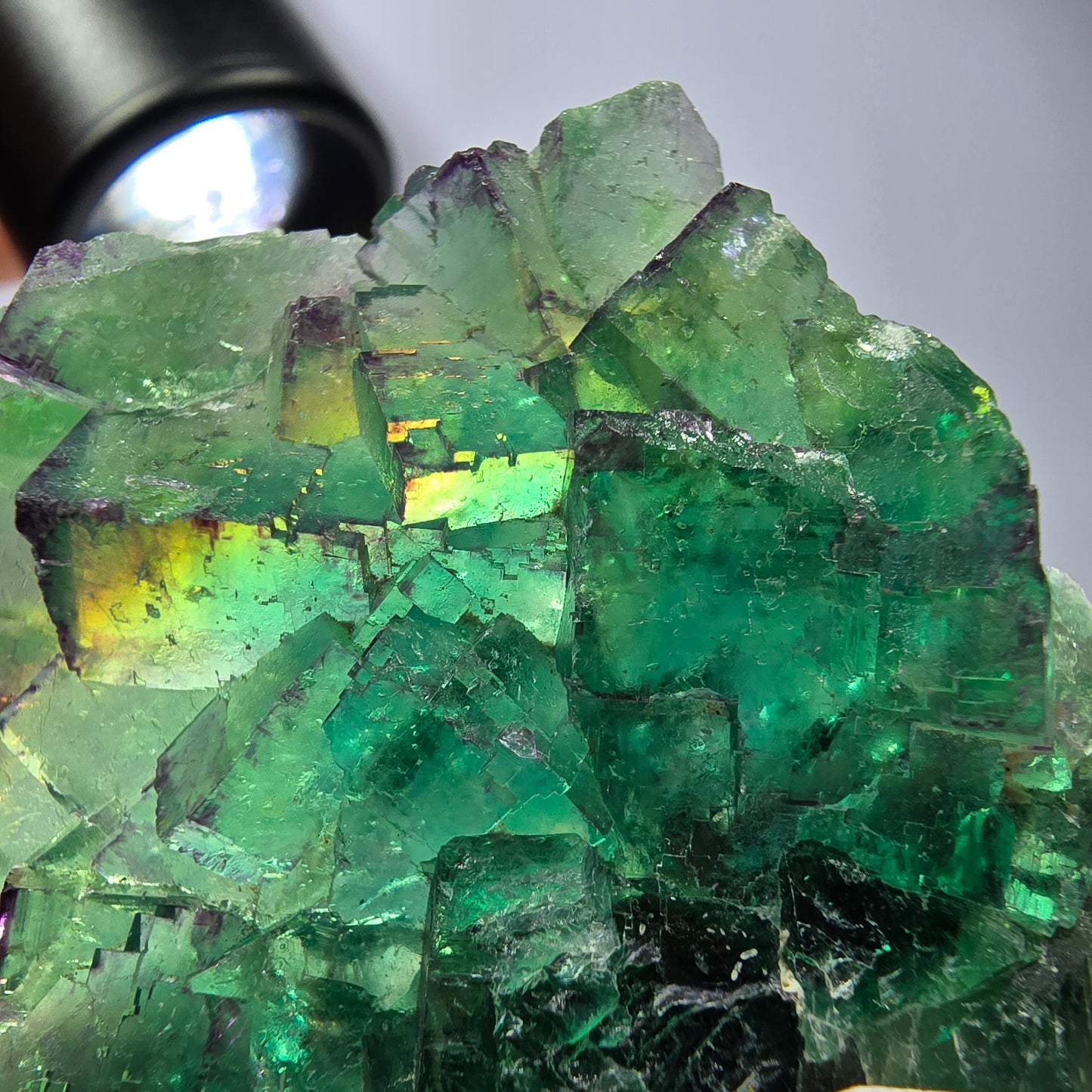 Spécimen de cube de fluorite fantôme, parqueté vert violet Okorusu, Namibie 55*41*16 mm 