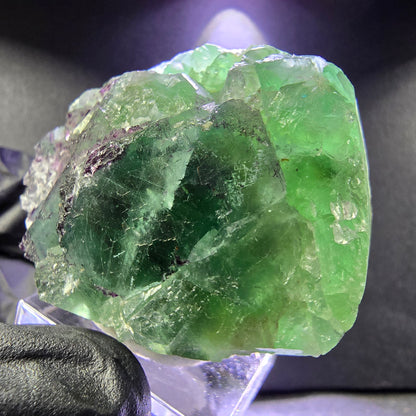 Rare zonar Phantom Fluorite XX stade vert violet 45*39*21mm Okorusu, Namibie