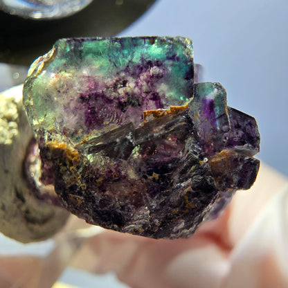 Spécimen de cube de fluorite fantôme, parqueté vert violet Okorusu, Namibie 34*24*19 mm 