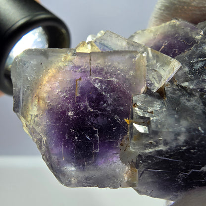 Rare spécimen de cube de fluorite fantôme, bleu-violet Okorusu Namibie 66 x 43 x 32 mm 