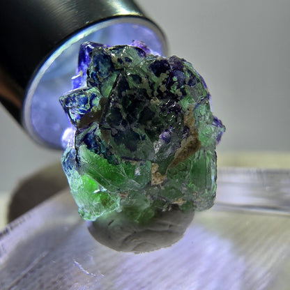 Cube de fluorite fantôme zonal, spécimen de tourmaline Schorl, Erongo, Namibie, 14 x 13 x 13 mm 