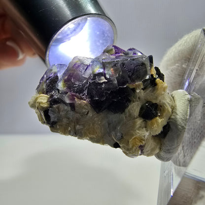 Spécimen de fluorite fantôme colorée, tourmaline scholle, muscovite, Erongo, Namibie, 30 x 19 x 20 mm 