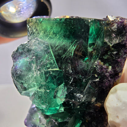 Spécimen de cube de fluorite fantôme, parqueté vert violet Okorusu, Namibie 50*43*30 mm 