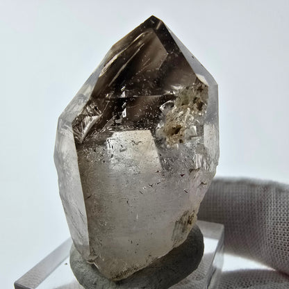 Enhydro Phantom Rauchquarz Zepter Spitze 1x Blase Goboboseb, Namibia 39*29*22mm