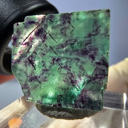 Cube de fluorite fantôme parqueté, vert violet Okorusu, Namibie 21*19*8mm 