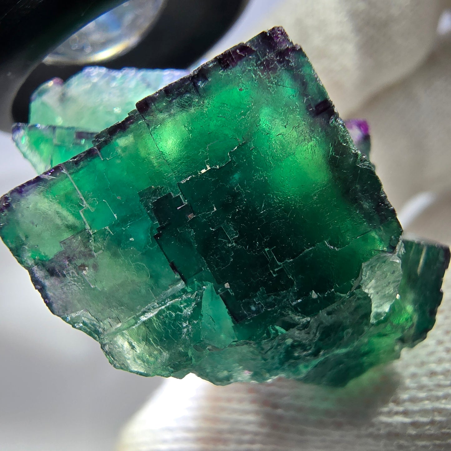 Spécimen rare de cube de fluorite fantôme, vert zonal et violet, Okorusu, Namibie, 39 x 34 x 19 mm 