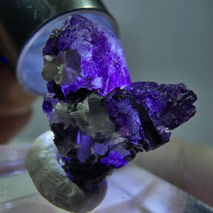 Fluorite fantôme, Moscovite, Schörl Tourmaline Erongo, Namibie 20*13*12mm 