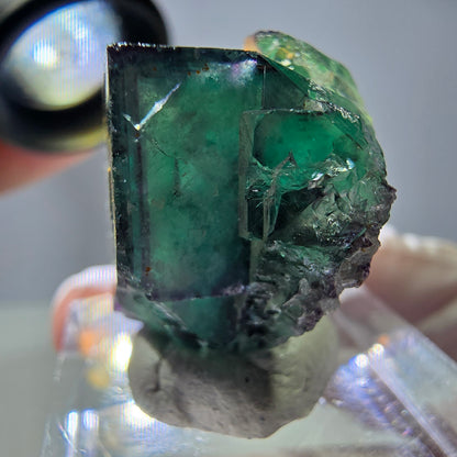 Rare cube de fluorite fantôme parqueté vert violet Okorusu Namibie 30*25*13mm 