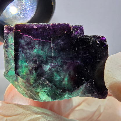 Spécimen de cube de fluorite fantôme, parqueté vert violet Okorusu, Namibie 31*30*20 mm 