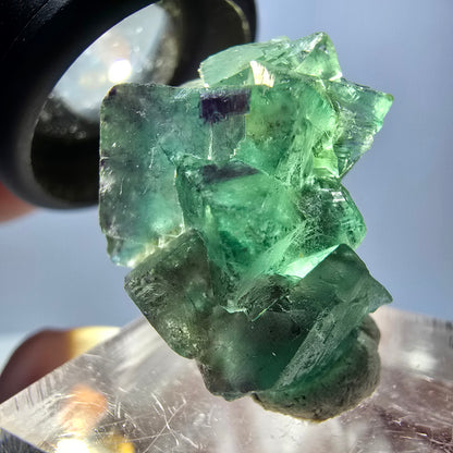 Spécimen de cube de fluorite fantôme, parqueté vert violet Okorusu, Namibie 25*21*14 mm 